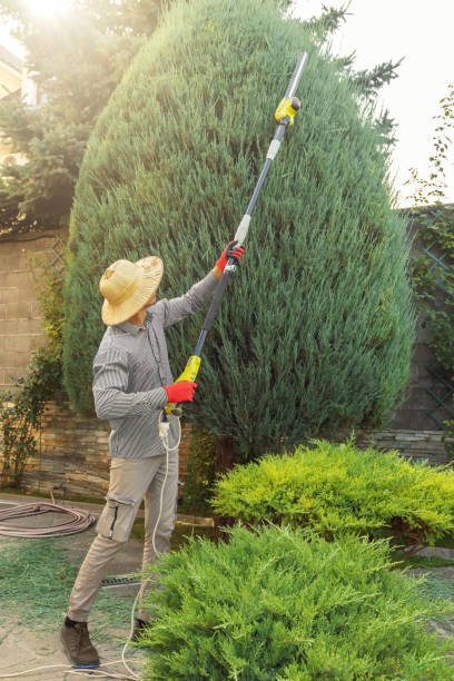 Reliable Putnam Lake, NY Tree Removal and Landscaping Services Solutions